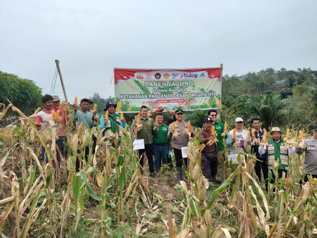 Polsek Loa Kulu panen jagung bersama masyarakat Desa Jonggon Jaya, mendukung Ketahanan Pangan Nasional Polri, Selasa (20/1/2026).