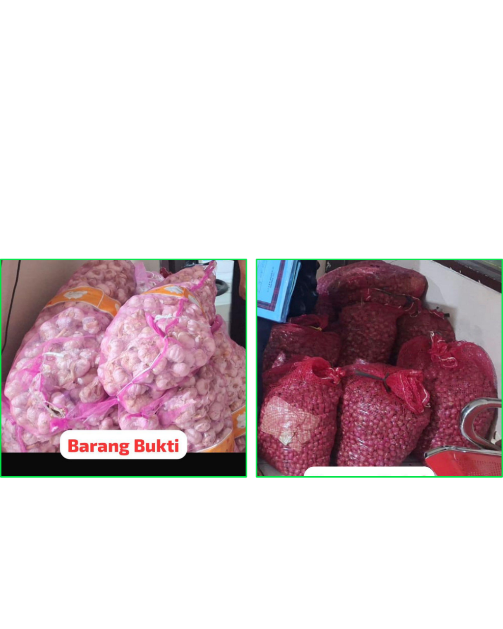 Barang bukti hasil pencurian bawang yang diamankan polisi.