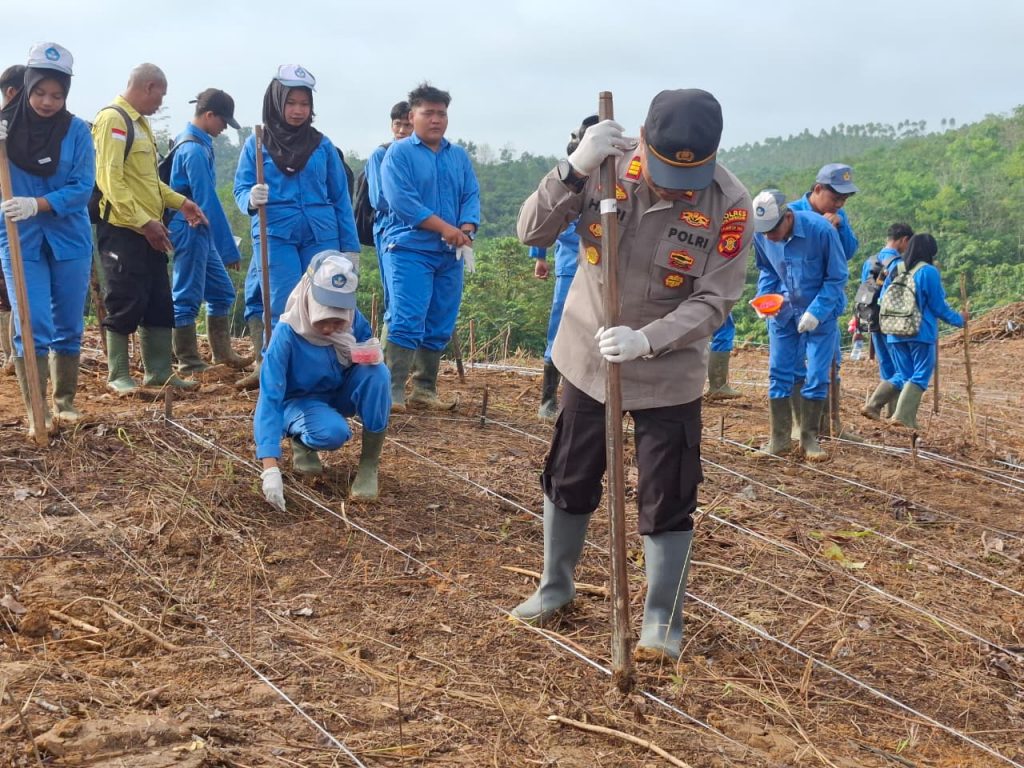 Penanaman jagung serentak hasil sinergi Polsek Loa Kulu bersama PT Niagamas Gemilang, Pemdes Jonggon Jaya, dan SMK El Fhaluy Al Faizin Loa Kulu.