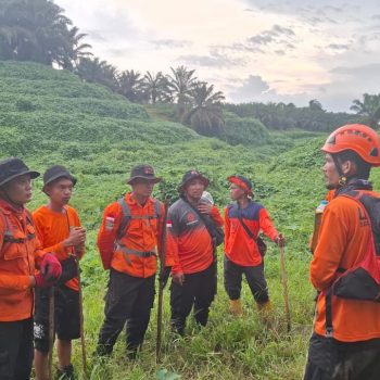 Upaya pencarian terus dilakukan Tim SAR Gabungan dengan menyisir titik-titik yang diduga dilalui korban di kawasan kebun sawit Desa Mekarti, Rabu (11/2/2026).