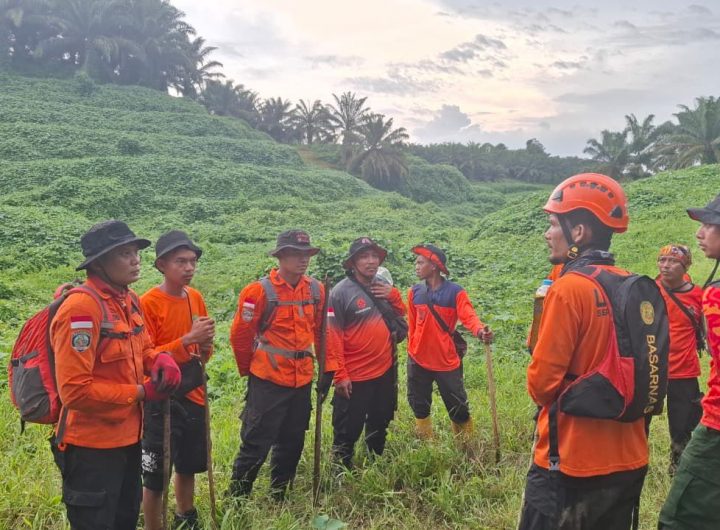 Upaya pencarian terus dilakukan Tim SAR Gabungan dengan menyisir titik-titik yang diduga dilalui korban di kawasan kebun sawit Desa Mekarti, Rabu (11/2/2026).