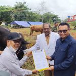 Pemkab Kukar monitoring kesehatan hewan kurban jelang Iduladha di Tenggarong.