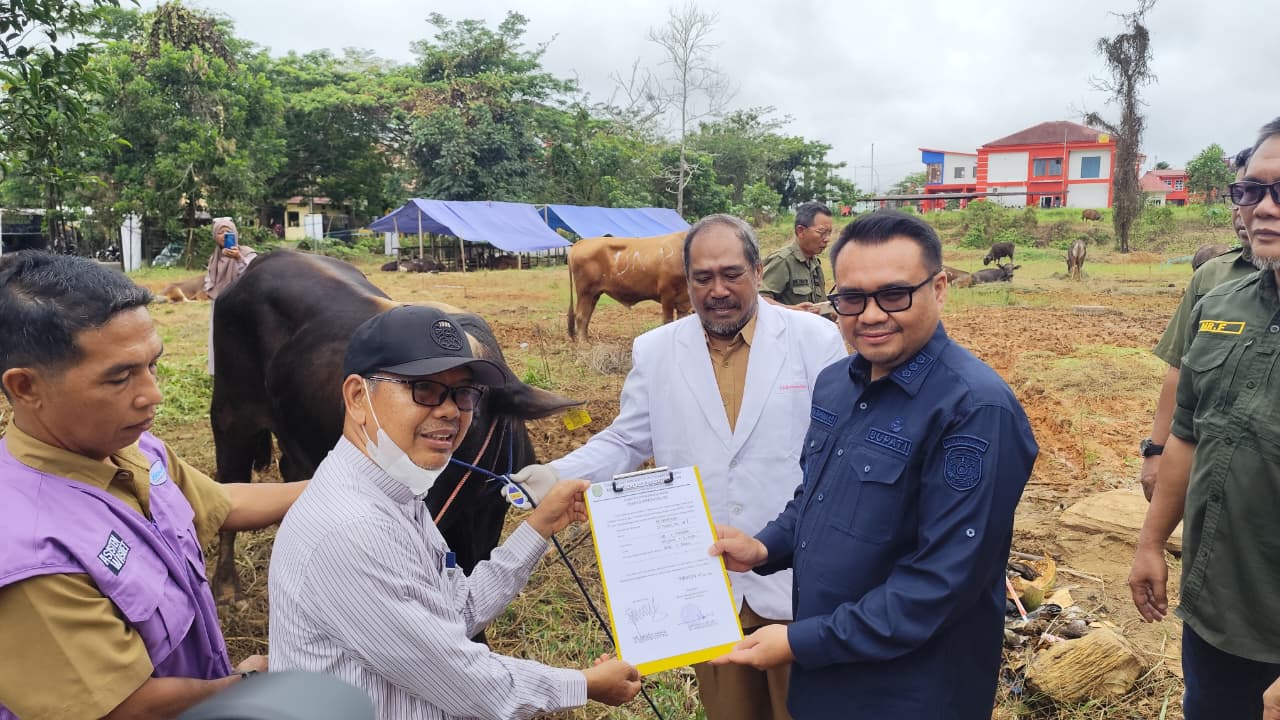 Pemkab Kukar monitoring kesehatan hewan kurban jelang Iduladha di Tenggarong.