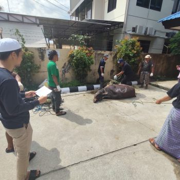 PWI Kaltim kembali melaksanakan penyembelihan hewan kurban dalam perayaan Iduladha 2026.