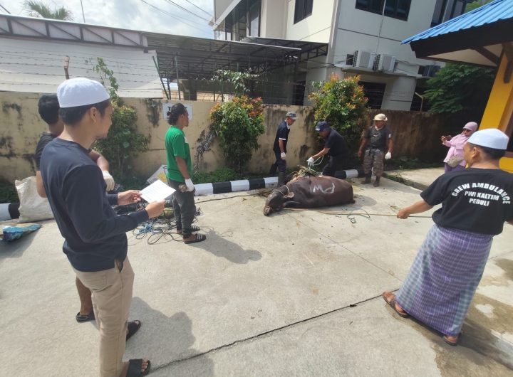 PWI Kaltim kembali melaksanakan penyembelihan hewan kurban dalam perayaan Iduladha 2026.