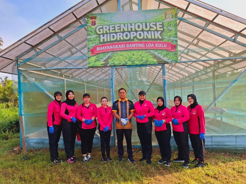 Kapolsek Loa Kulu AKP Hari Supranoto bersama Bhayangkari Ranting Loa Kulu menanam 832 bibit selada hidroponik di Green House Bhayangkari Loa Kulu, Senin (22/6/2026).