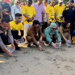 Pelepasan tukik penyu lekang.