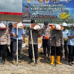 Polsek Muara Wahau bersama Polres Kutai Timur dan sejumlah perusahaan perkebunan menanam jagung di lahan seluas 5 hektar di area PT DSN Group, Desa Muara Wahau, Kecamatan Muara Wahau, Rabu (5/8/2026).