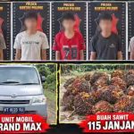 Pelaku berinisial R (24), MFY (19), AWR (19), MA (24), dan Z (25).